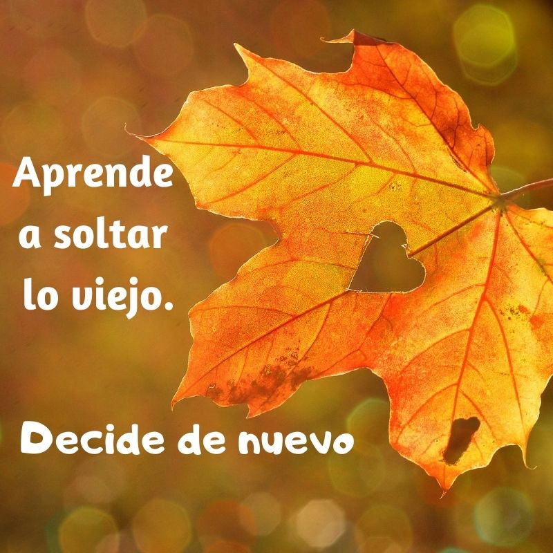 ¡La buena noticia! Puedes decidir de nuevo