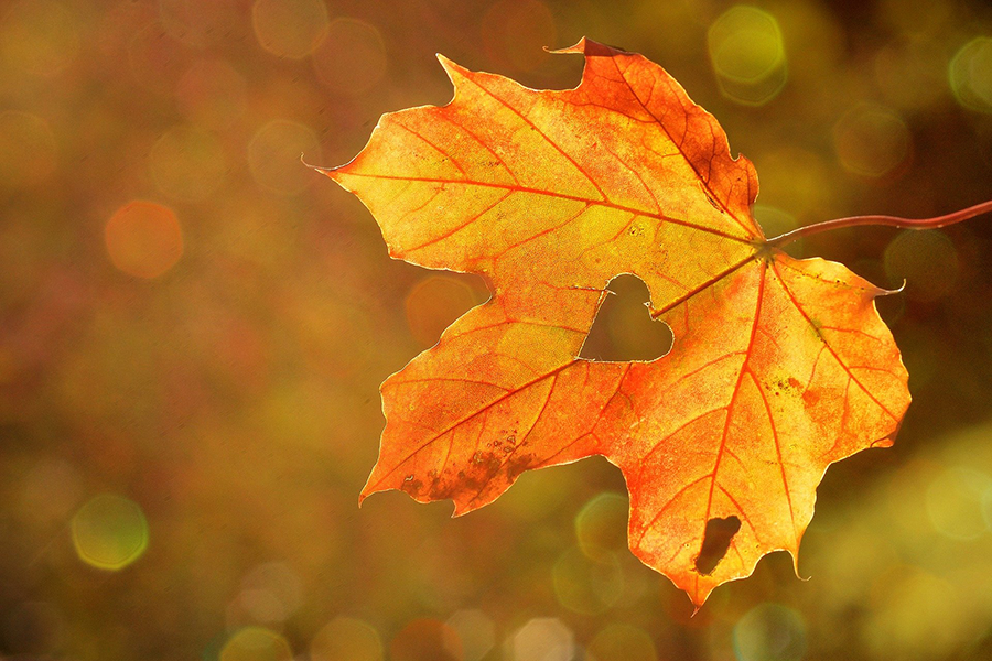 ¡La buena noticia! Puedes decidir de nuevo