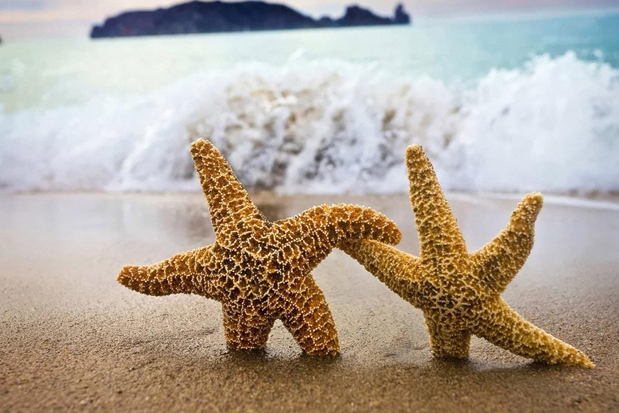 El hábito de bendecir ¿porqué y para qué?