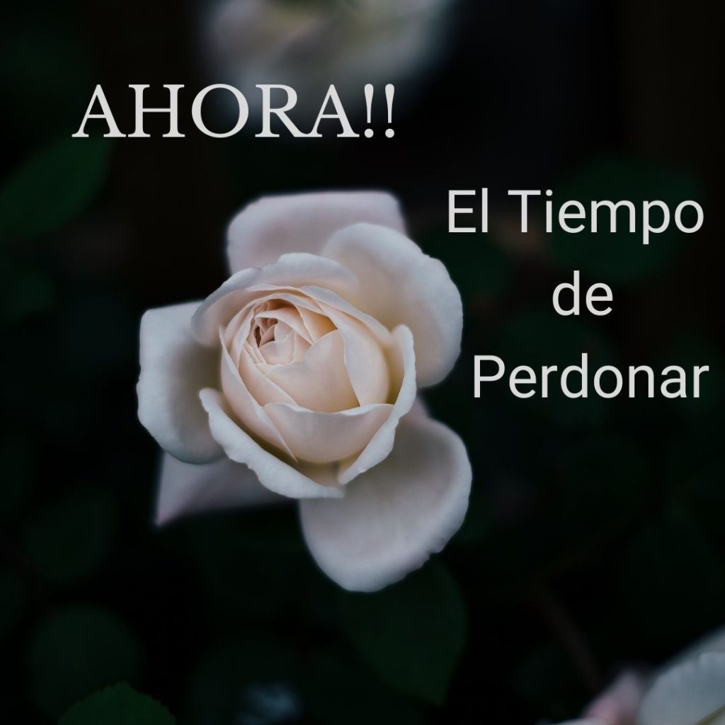 ¡¡Ahora!! El tiempo de perdonar