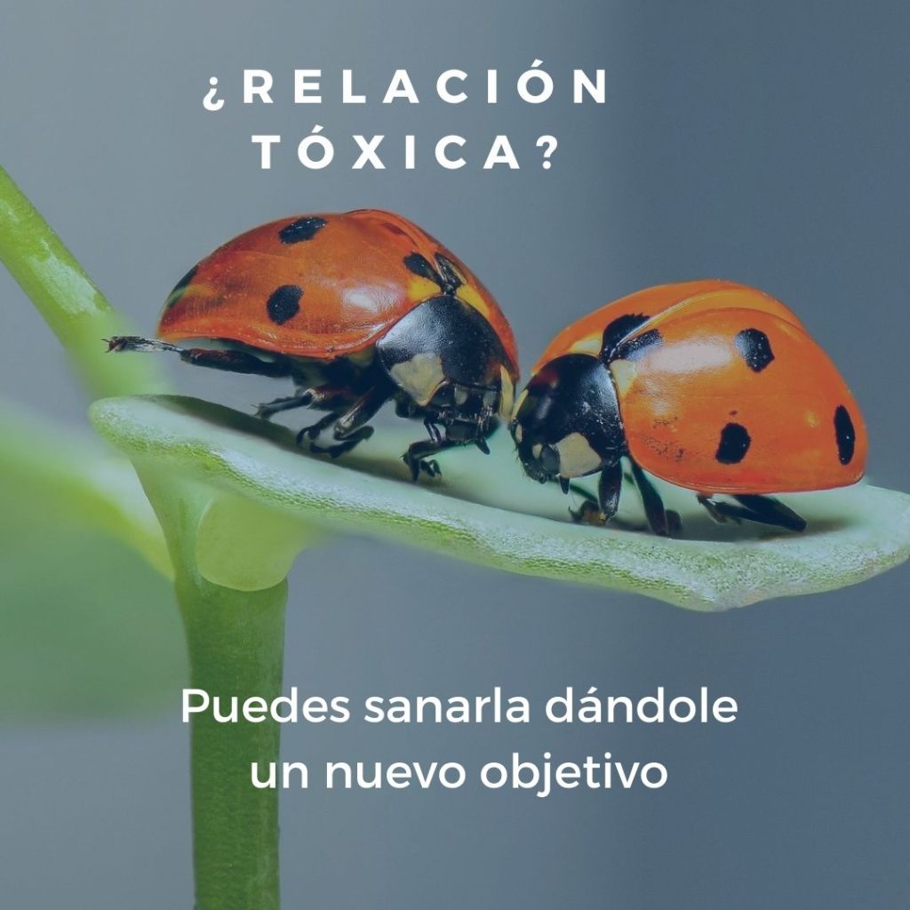 Una relación sana es una relación santa